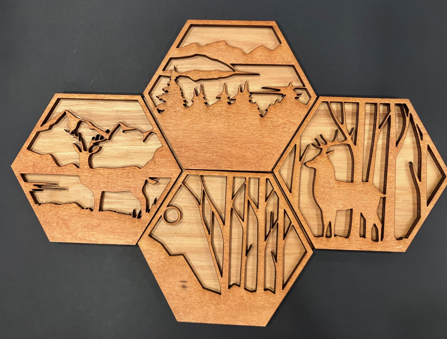 Hexagon Nature Plaque